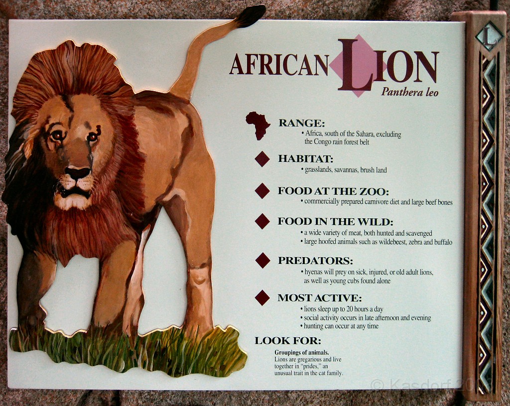 Dart Frog Dash 08 0676.jpg - The Toledo Ohio Zoo held the 2008 Dart Frog Dash 5K race on May 17, 2008. The weather was great, the race went fine, and the animals were fun to see! The highlight was the nursing Polar Bear Cubs - two 330 pound "babies" tugging on mama.